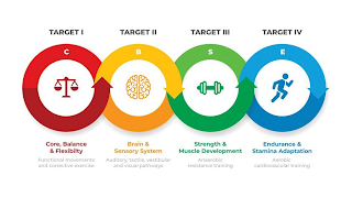 TARGET I TARGET II TARGET III TARGET IV C B S E CORE, BALANCE & FLEXIBILTY FUNCTIONAL MOVEMENTS