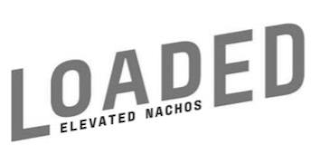 LOADED ELEVATED NACHOS