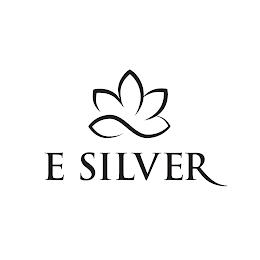 E SILVER