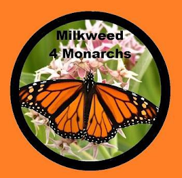 MILKWEED 4 MONARCHS