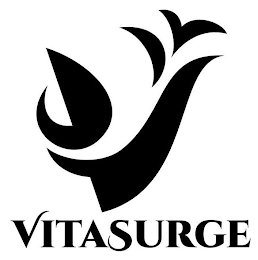 V VITASURGE