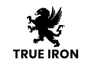 TRUE IRON