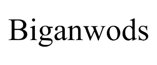 BIGANWODS