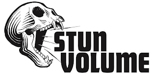 STUN VOLUME