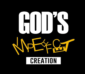 GOD'S IMPERFECT CREATION