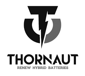 T THORNAUT RENEW HYBRID BATTERIES