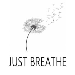 JUST BREATHE