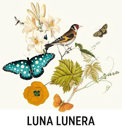 LUNA LUNERA