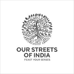 OUR STREETS OF INDIA FEAST YOUR SENSES