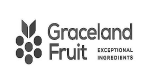 GRACELAND FRUIT EXCEPTIONAL INGREDIENTS