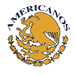 AMERICANOS