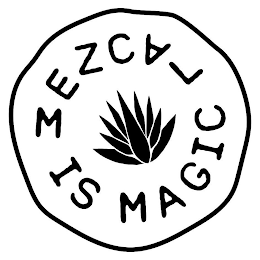 MEZCAL IS MAGIC