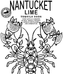 NANTUCKET LIME TEQUILA SODA LIME LA LANGOSTA BLANCA TEQUILA WITH NATURAL LIME FLAVORS AND CARBONATION NANTUCKET CRAFT COCKTAILS TRIPLE EIGHT EST. 2020