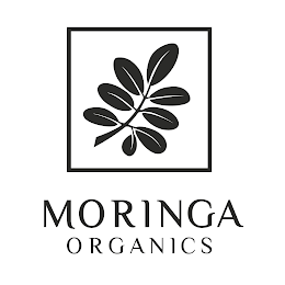 MORINGA ORGANICS
