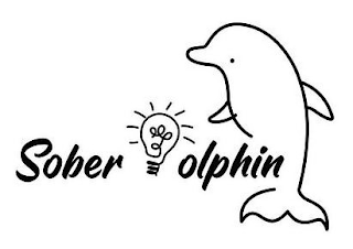 SOBER DOLPHIN