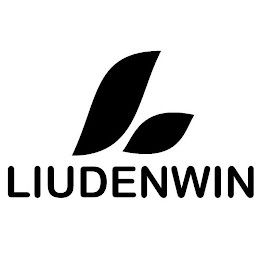 LIUDENWIN