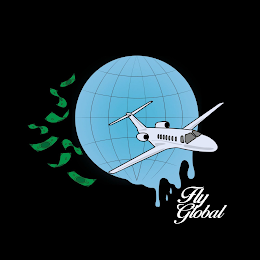 FLY GLOBAL