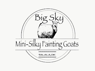 BIG SKY MINI SILKY FAINTING GOATS TALALA, OK