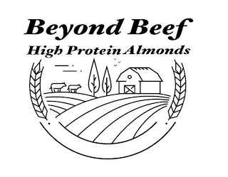 BEYOND BEEF HIGH PROTEIN ALMONDS