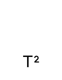 T2