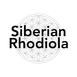 SIBERIAN RHODIOLA