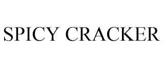 SPICY CRACKER