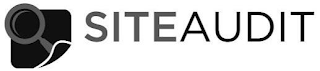 SITE AUDIT