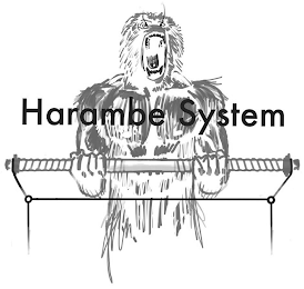 HARAMBE SYSTEM