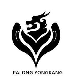 JIALONG YONGKANG