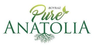 BOYRAZ PURE ANATOLIA