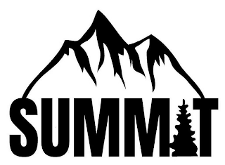 SUMMIT