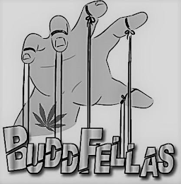 BUDDFELLAS