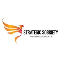 STRATEGIC SOBRIETY AWARENESS CHECK UP