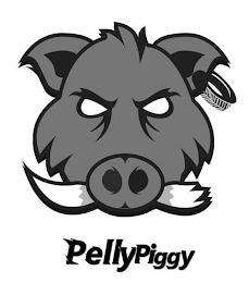 PELLYPIGGY