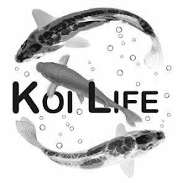 KOI LIFE