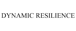 DYNAMIC RESILIENCE