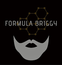 FORMULA BRIGGY