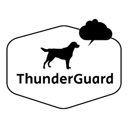 THUNDERGUARD