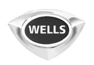 WELLS