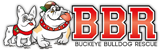 B BBR BUCKEYE BULLDOG RESCUE