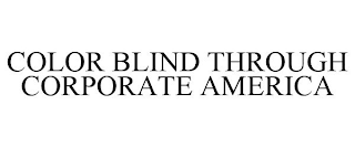 COLOR BLIND THROUGH CORPORATE AMERICA