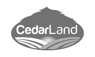 CEDARLAND