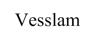 VESSLAM