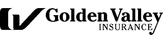 GV GOLDEN VALLEY INSURANCE