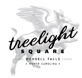 TREELIGHT SQUARE WENDELL FALLS NORTH CAROLINA