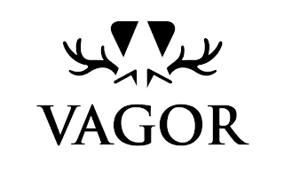 VAGOR