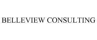 BELLEVIEW CONSULTING