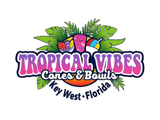 TROPICAL VIBES CONES & BOWLS KEY WEST · FLORIDA