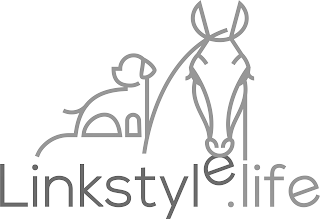 LINKSTYLE.LIFE