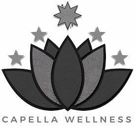 CAPELLA WELLNESS